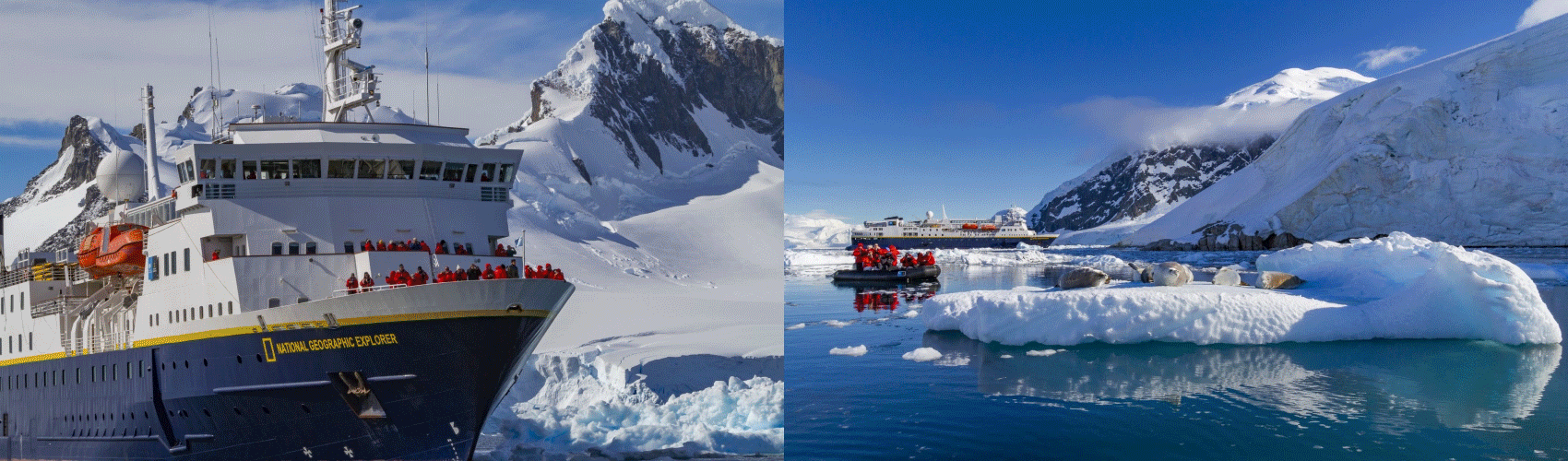 Gif of travel trip to Antarctica