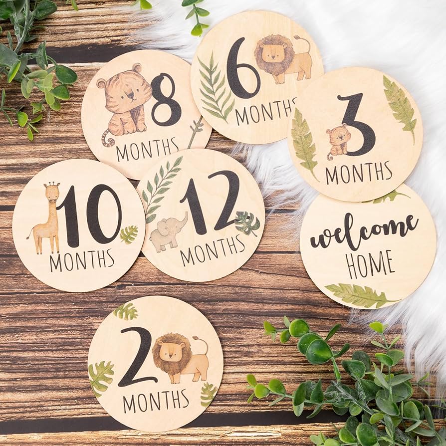 baby year milestone discs