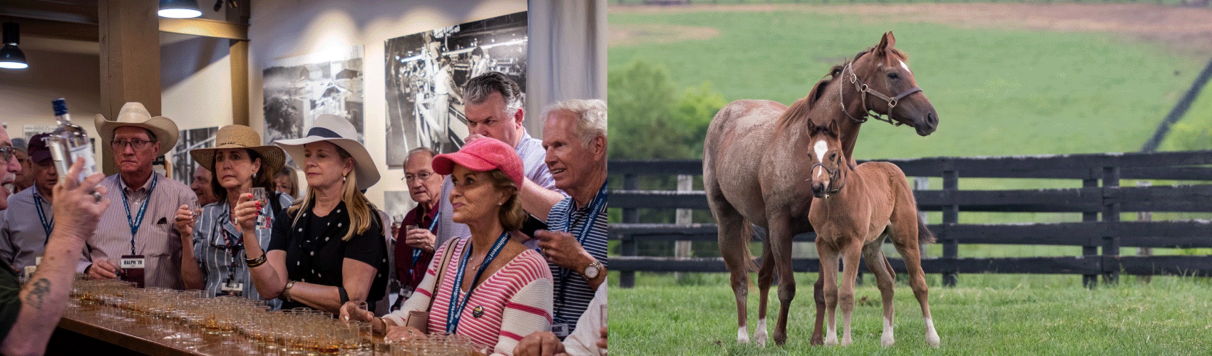Rotating gif of Kentucky Derby Travel trip