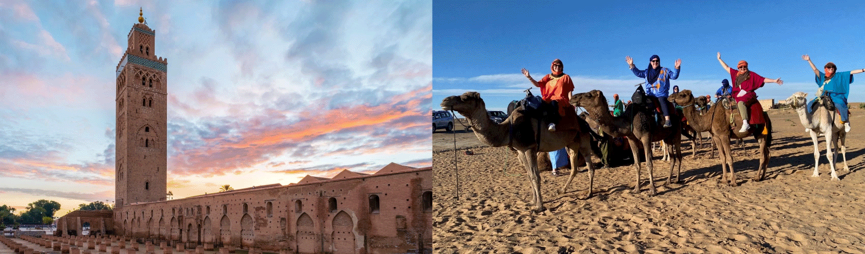 gif of travel trip