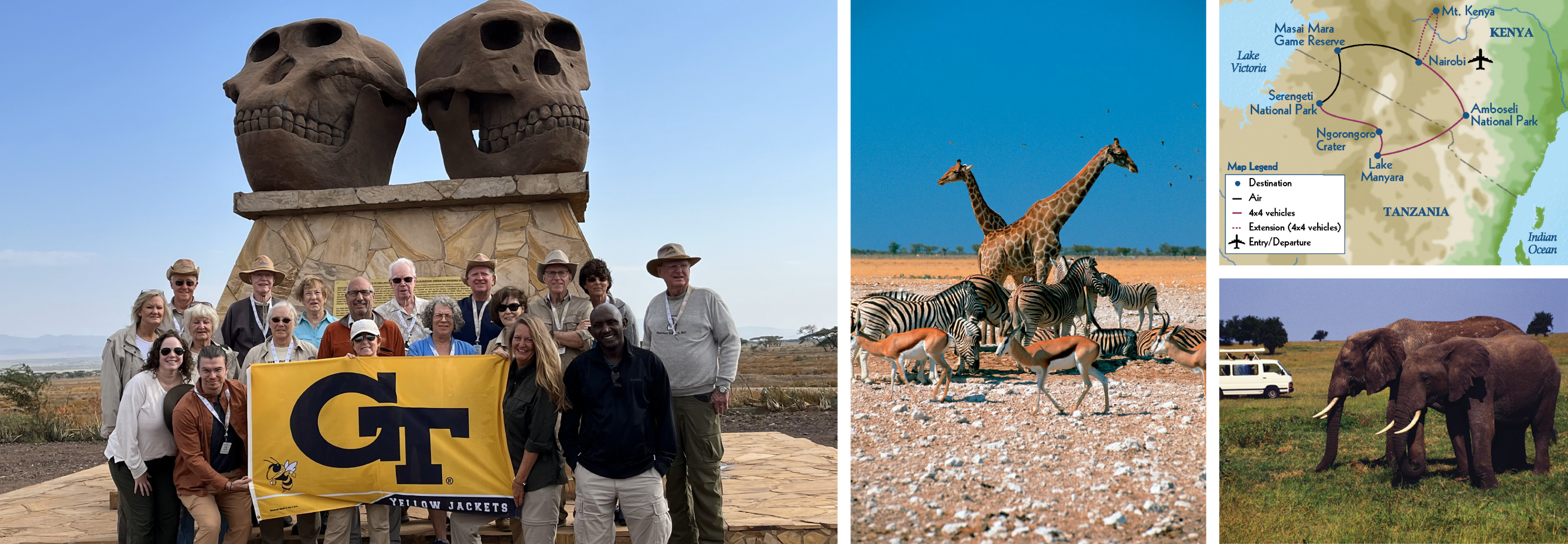 Collage of Classic Safari