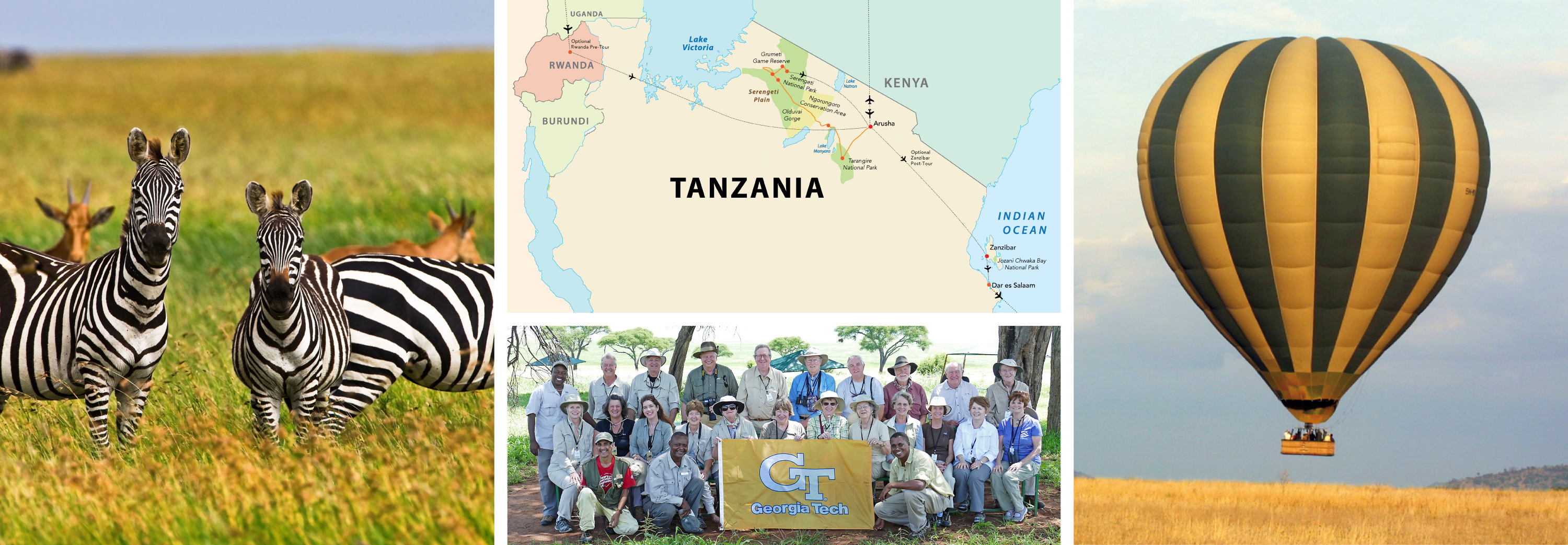 Collage of Tanzanian Wildlife