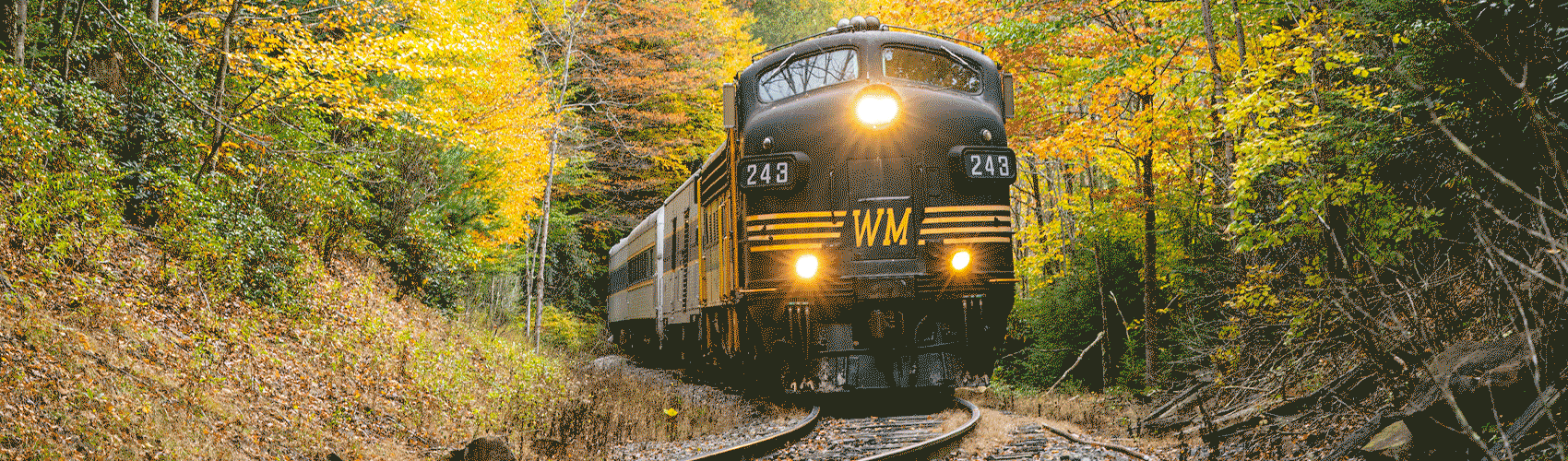 gif of west virginia and williamsburg