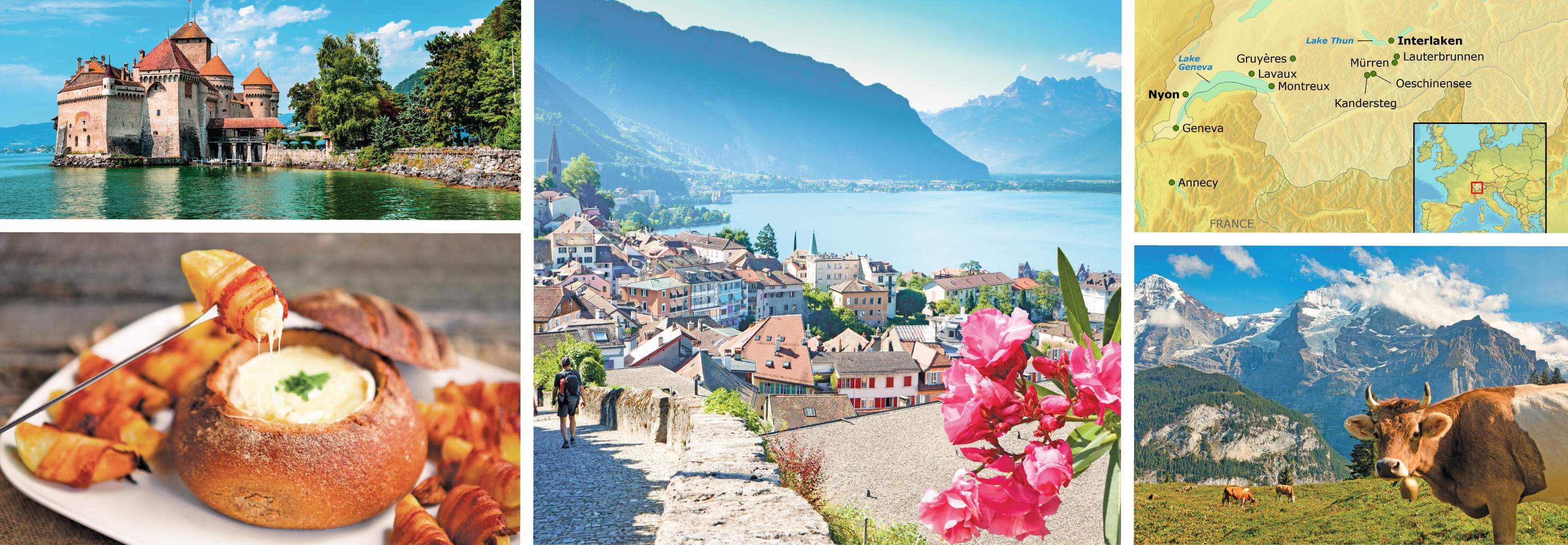 Collage of Switzerland's Alpine