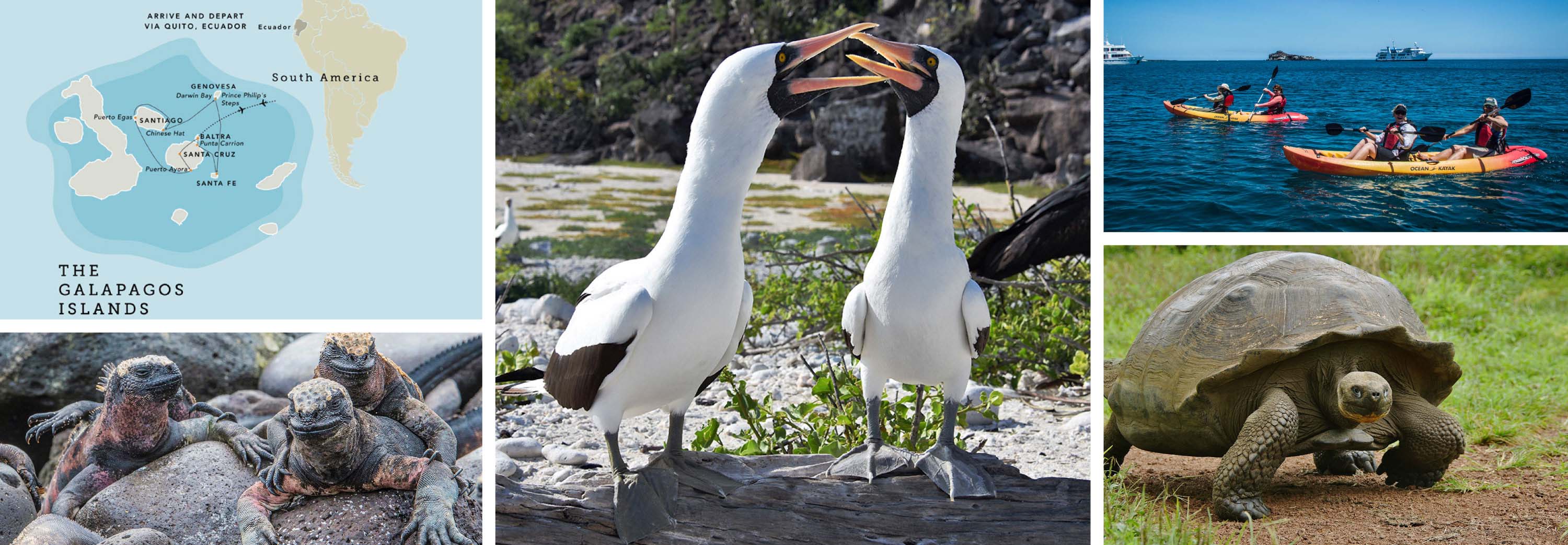 Collage of Galapagos Islands