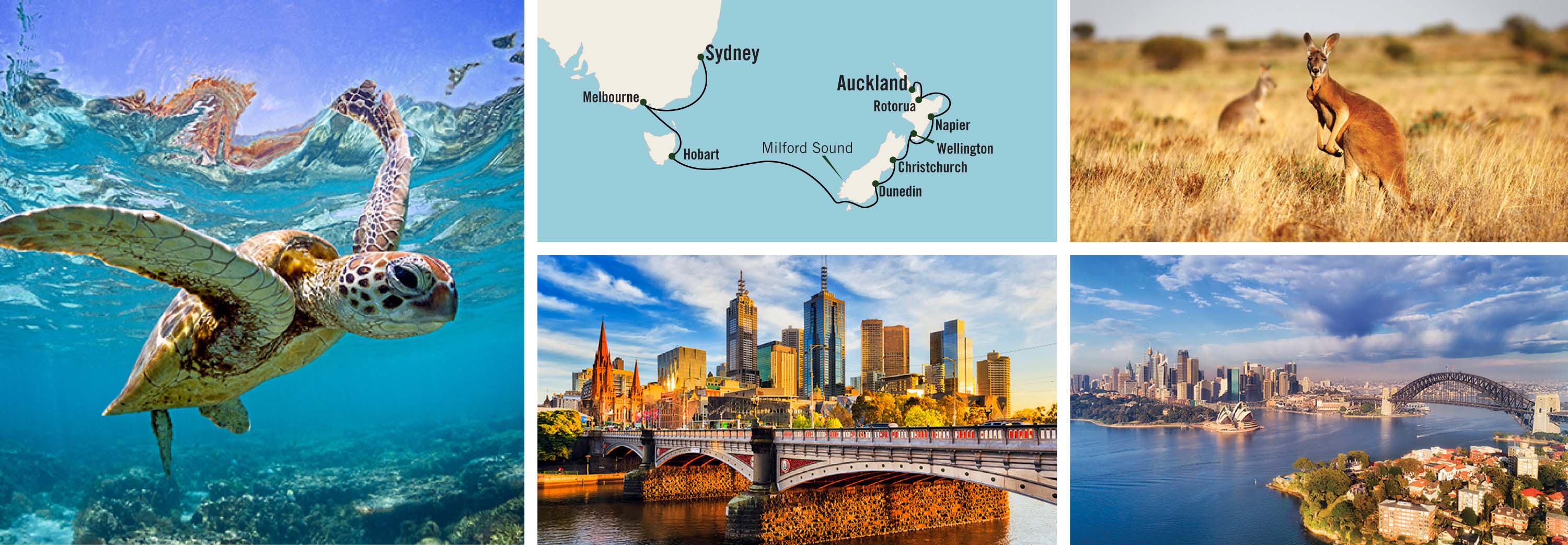 Collage of Australia & New Zealand trip scenery