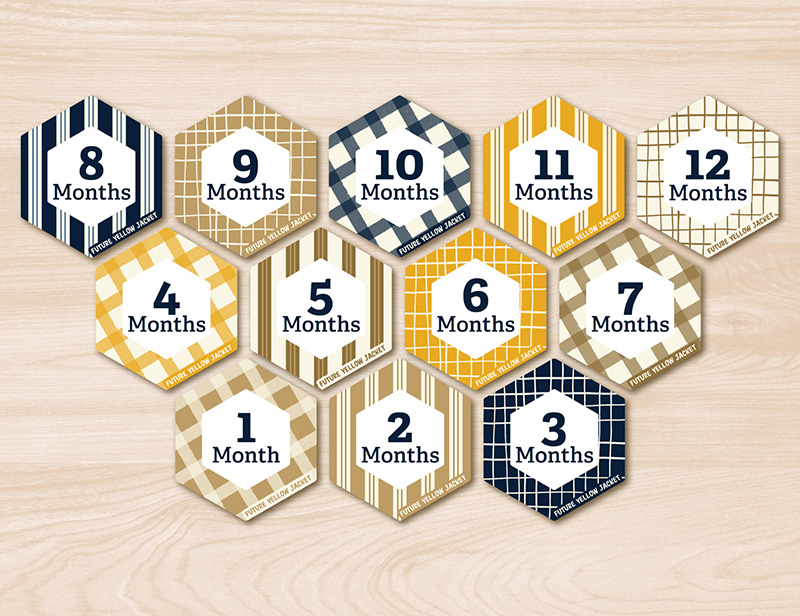twelve baby milestone circles with GT colors