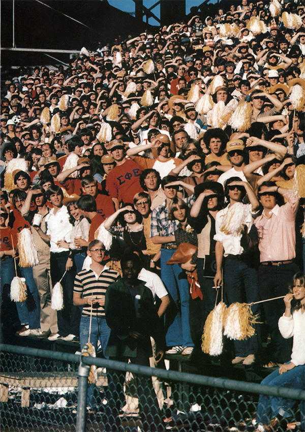 Crowd watching a sporting game