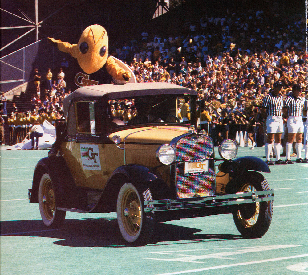 Buzz taking the field