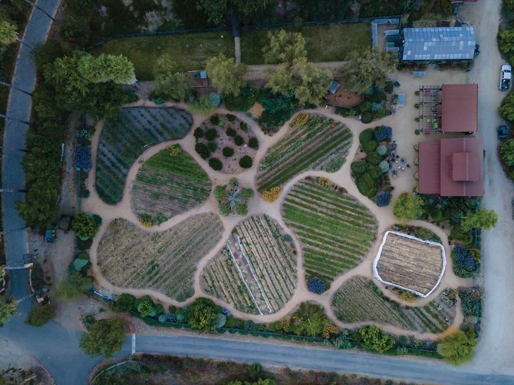 Apricot Lane Farms overhead