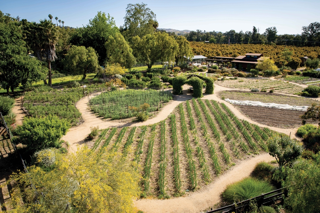 Apricot Lane Farms