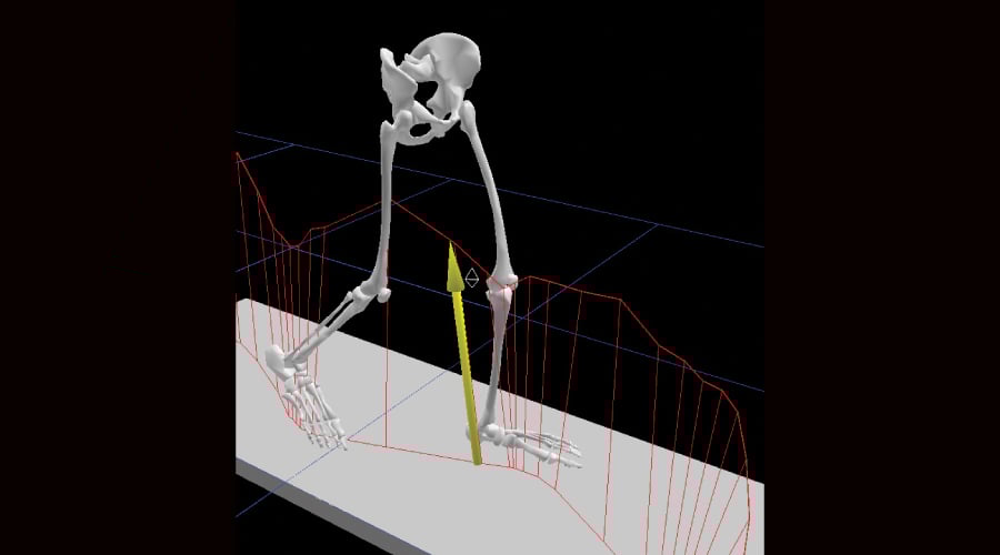 A rendered visualization of movement of legs.