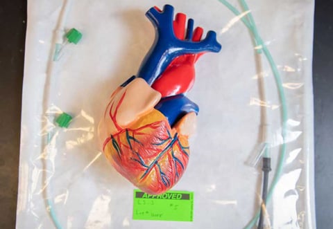 Wearable heart monitor 
