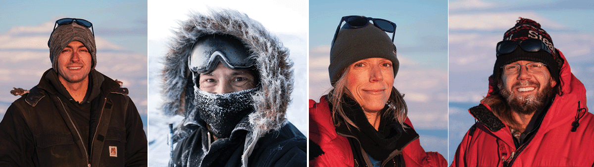 four yellow jackets in antarctica