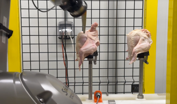 robotic deboning machine